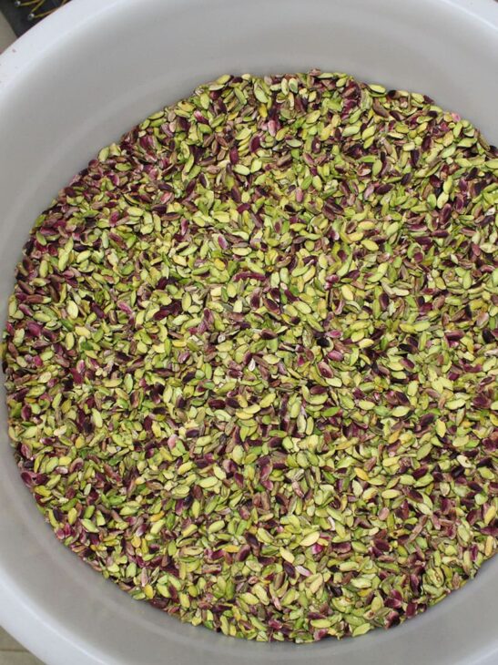 Pistacchio di bronte verde
